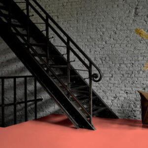 Trentino xf²™ (2.5 mm)