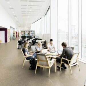 Veneto Acoustic Cork xf²™ 15 dB (4.4 mm)